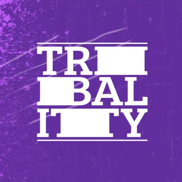 Logo de TRIBALITY Studio